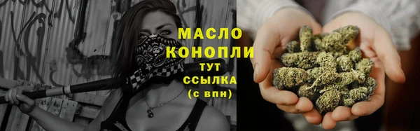 тгк Бородино