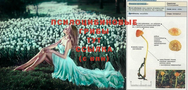 mdma Верхний Тагил