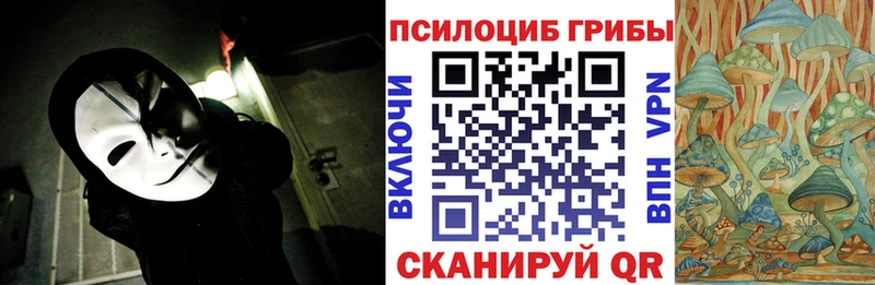 как найти закладки  Пересвет  Галлюциногенные грибы Psilocybe 
